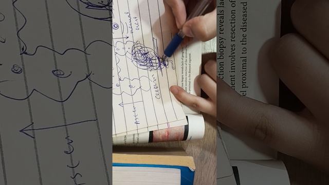 GIT pathology of large intestine part 1 смотреть онлайн