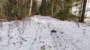 на мотоциклах по снегу на петрошине с-137 и л-385