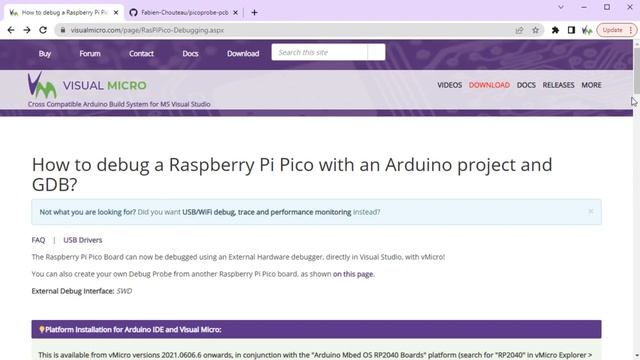 Raspberry Pi Pico W Setup and Debugging