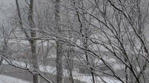 Опять метель