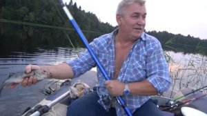 рыбалка с ночевкой-вечерний клёв на удочку-лебеди-июль 2018-Святозеро