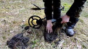 Коп на острове. Нашли старинные монеты. Коп поиск монет 2022