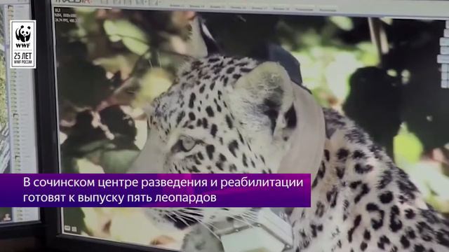 Природа на связи Выпуск № 5 Май 2019 смотреть онлайн