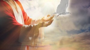 В ОДНОЙ ЖИЗНИ МНОГО ЖИЗНЕЙ..