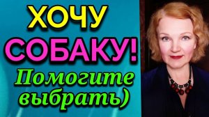 Породы собак, какую выбрать, посоветуйте / ПРО ЖИЗНЬ / Как я похудела на 94 кг