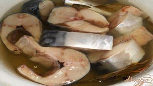 Скумбрия быстрого посола