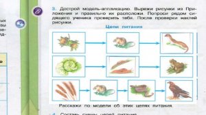 Окружающий мир. Рабочая тетрадь 3 класс 1 часть. ГДЗ стр. 56 №3