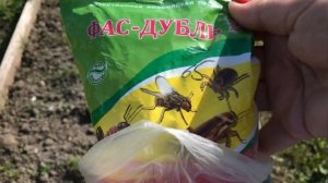 Избавляемся от морковной мухи Раз и навсегда