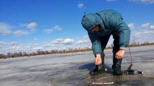 Ловля плотвы в Асаревичах на донки со льда