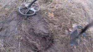 Клад Серебряных Рублей