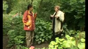 Сад и огород. Цветы в тени