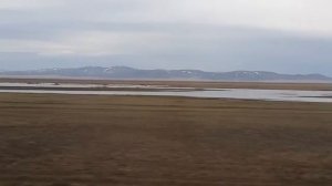 Жизнь в Казахстане  Весна в степи Казахстана