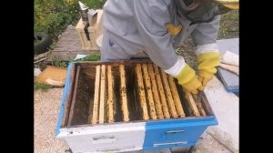 Расширение улья лежака