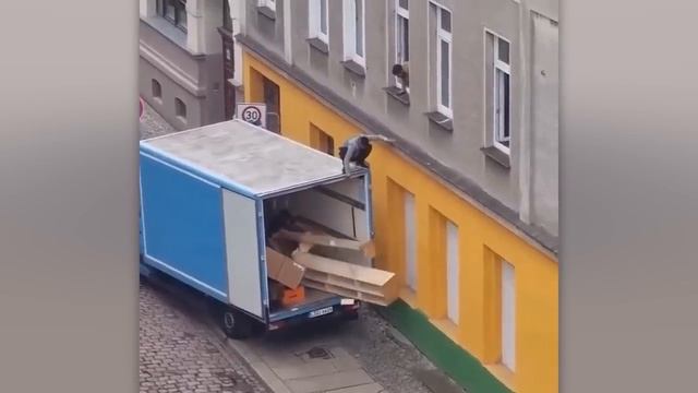 САМЫЕ НЕЛЕПЫЕ ОШИБКИ РАБОЧИХ, СНЯТЫЕ НА КАМЕРУ