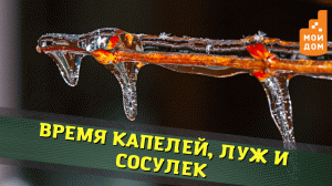 Время капелей, луж и сосулек. Как коммунальщики Нижнего поддерживают порядок во дворах