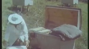 ПЧЕЛОВОДСТВО учебный кинокурс СССР 1969 г. СК