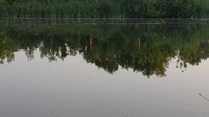 КАРАСИ КЛЮЮТ на ШПРОТЫ?! Рыбачу на ШПРОТНОЕ ТЕСТО по рецепту от ПОДПИСЧИКА!