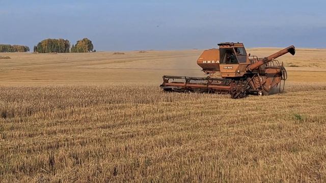 23 октября 2023 г. смотреть онлайн