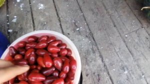 Грушевидный кизил