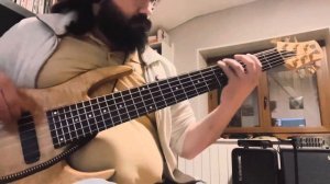 Fodera Anthony Jackson Contrabass 1990 Sounds - HAZ Labs Preamp