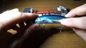 Обзор воблера DUO Realis Jerkbait 120SP