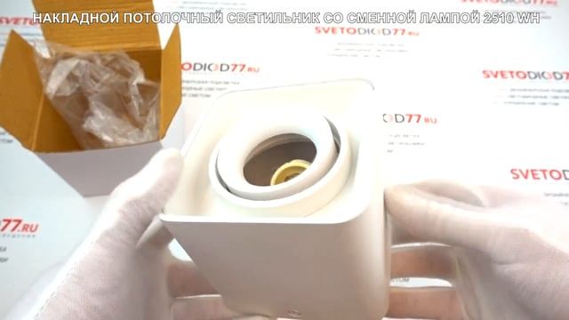 Накладной потолочный светильник 2510 WH