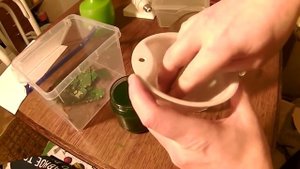 Часть 3 Снятие позолоты или золото из мобильных.