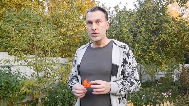 Растения агрессоры: рейнутрия, физалис, топинамбур, малина душистая смотреть онлайн