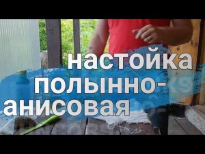 Полынно-анисовая настойка или АбсЦент?