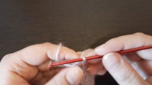 Бактус "Клео" крючком.