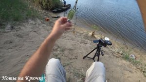 В погоне за сазаном на Ахтубу, рыбалка на реке Ахтуба, Рыбалка 2020, карпфишинг, Рыбалка Маляевка,