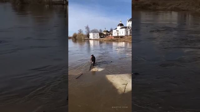 Приплыли...???