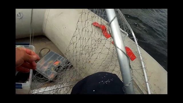 умба горбуша 20021 рыбалка в море