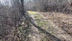 MINELAB VANQUISH 340 отлично находит мелкие монеты. Главное научиться его слушать.