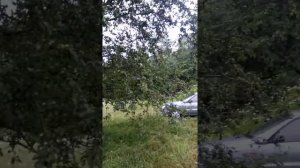 Махошевская.Красота природы.