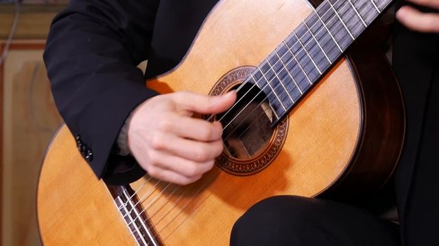 Mårten Falk - A Francisco Tárrega Recital смотреть онлайн