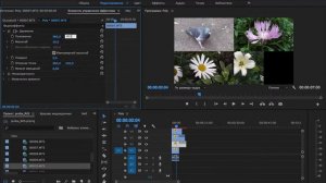 Создаём ПОЛИЭКРАН в Premiere Pro