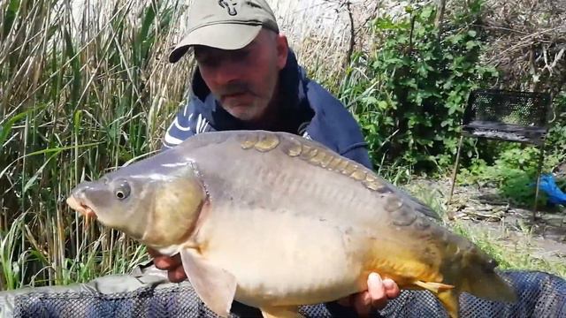 DUBEN 2019 / MAĎARSKO смотреть онлайн