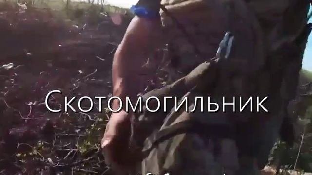 Вот такой он контрнаступ ВСУ.