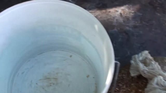 Голуби Геннадий Мацинов( Зерно проращиваю голубям) станица Кагальницкая смотреть онлайн