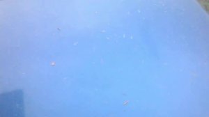 ПРИОРА Стаканы в размере,высота лонжеронов подогнана!!!!!