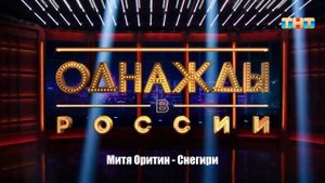 Митя Оритин - Снегири