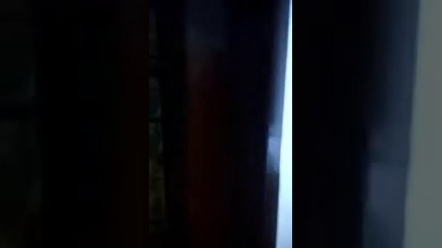 Дверь входная, двух створчатая. смотреть онлайн