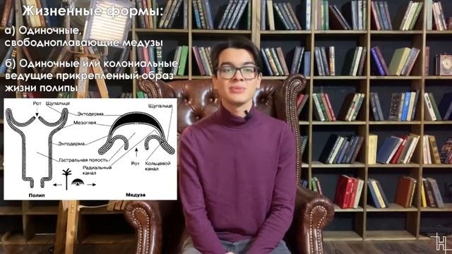 Тип кишечнополостные | Биология