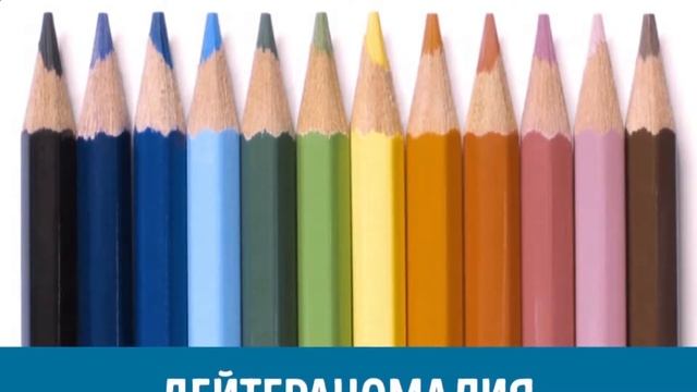 Как видят мир люди с разными формами дальтонизма смотреть онлайн