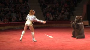 Огромные медведи на арене цирка. Huge bears in the circus arena.