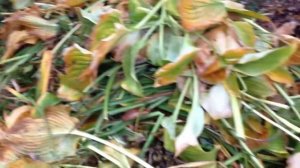 Огород по-новому на маленьком участке.mp4