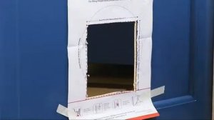 Программируемая микрочиповая дверца для кошек PetSafe