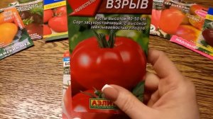 Томаты для раннего сбора урожая. УЛЬТРАРАННИЕ сорта!