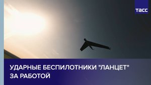 Дроны-камикадзе "Ланцет" поразили с начала СВО свыше 2 тыс. целей